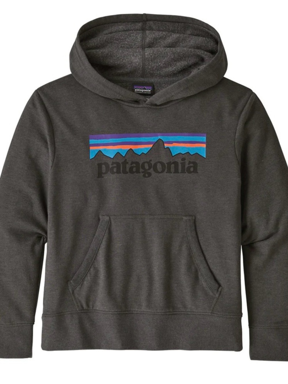 Kids Patagonia Lightweight Graphic Logo Hoody Sweatshirt Size Large
